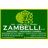 Zambelli s.r.l. logo, Zambelli s.r.l. contact details