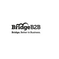 Bridge B2B logo, Bridge B2B contact details