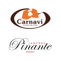 Carnavi | Pinante logo, Carnavi | Pinante contact details