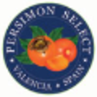 Persimon Select SL logo, Persimon Select SL contact details