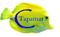 Tapamar logo, Tapamar contact details