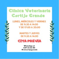 C Veterinaria Cortijo Grande logo, C Veterinaria Cortijo Grande contact details