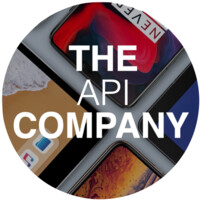 The API Company logo, The API Company contact details