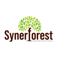 SynerForest logo, SynerForest contact details