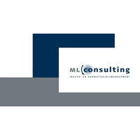 ML Consulting BV logo, ML Consulting BV contact details