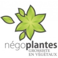 NEGOPLANTES logo, NEGOPLANTES contact details