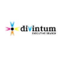 diVintum Executive Search logo, diVintum Executive Search contact details