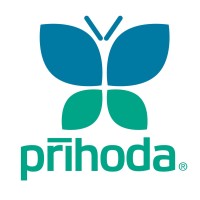 Prihoda Netherlands logo, Prihoda Netherlands contact details