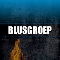 BlusGroep B.V. logo, BlusGroep B.V. contact details