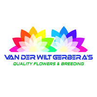 Van der Wilt Gerbera's logo, Van der Wilt Gerbera's contact details