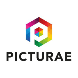 Picturae ICT logo, Picturae ICT contact details