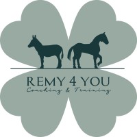 REMY4YOU Coaching & Training logo, REMY4YOU Coaching & Training contact details