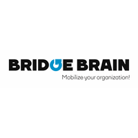 BRIDGEBRAIN logo, BRIDGEBRAIN contact details