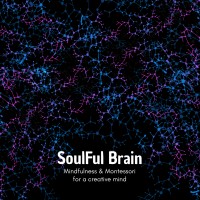 Soulful Brain logo, Soulful Brain contact details