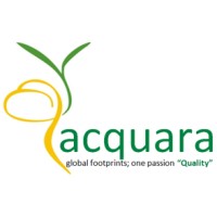 Acquara Management Consultant logo, Acquara Management Consultant contact details