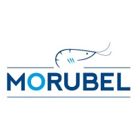 Morubel N.V. logo, Morubel N.V. contact details