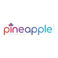 Pineapple Studios B.V. logo, Pineapple Studios B.V. contact details