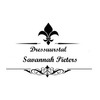 Dressuurstal Savannah Pieters logo, Dressuurstal Savannah Pieters contact details