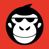 newsmonkey logo, newsmonkey contact details