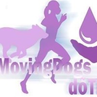 MovingDogs logo, MovingDogs contact details