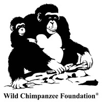 WILD CHIMPANZEE FOUNDATION (WCF) logo, WILD CHIMPANZEE FOUNDATION (WCF) contact details