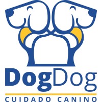 DogDog Cuidado Canino logo, DogDog Cuidado Canino contact details