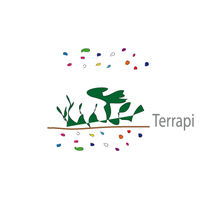 Terrapi World, Co. Ltd. logo, Terrapi World, Co. Ltd. contact details