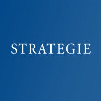 STRATEGIE Finanzmanagement GmbH & Co. KG logo, STRATEGIE Finanzmanagement GmbH & Co. KG contact details