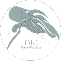 FYBS by findyourbestselves logo, FYBS by findyourbestselves contact details