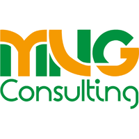 Mng Consulting logo, Mng Consulting contact details