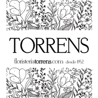 FLORISTERIA TORRENS logo, FLORISTERIA TORRENS contact details