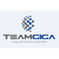 TeamGiga S.r.l. logo, TeamGiga S.r.l. contact details