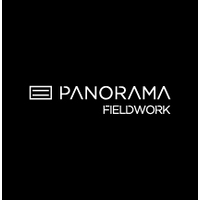 PANORAMA FIELDWORK logo, PANORAMA FIELDWORK contact details