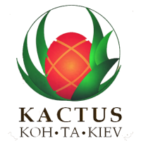 Kactus the hidden tree house cambodia logo, Kactus the hidden tree house cambodia contact details