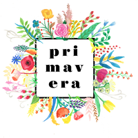 Primavera Project logo, Primavera Project contact details