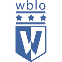 WBLO BV Cleaning Company logo, WBLO BV Cleaning Company contact details