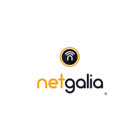 Netgalia S.L logo, Netgalia S.L contact details