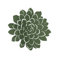 The Plantscaper logo, The Plantscaper contact details