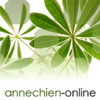 Annechien-online logo, Annechien-online contact details