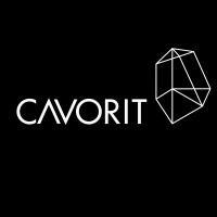 CAVORIT Consulting GmbH logo, CAVORIT Consulting GmbH contact details