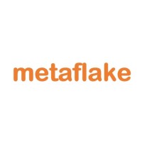 metaflake logo, metaflake contact details