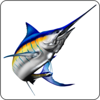 Blue Marlin Offshore Services logo, Blue Marlin Offshore Services contact details