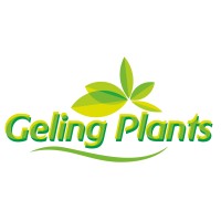 Geling Plants logo, Geling Plants contact details