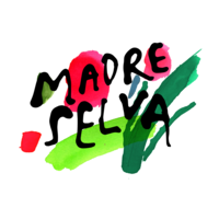 Madre Selva Films logo, Madre Selva Films contact details