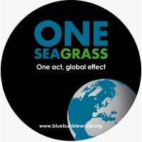 ONE SEAGRASS logo, ONE SEAGRASS contact details