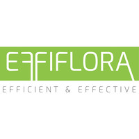 Effi Flora logo, Effi Flora contact details