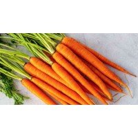 Carrot Company logo, Carrot Company contact details