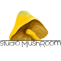 Studio MushRoom logo, Studio MushRoom contact details