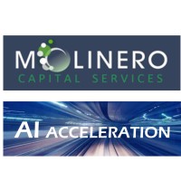 AI Acceleration / MCS (Molinero Capital Services) logo, AI Acceleration / MCS (Molinero Capital Services) contact details