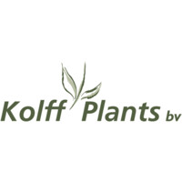 Kolff Plants B.V. logo, Kolff Plants B.V. contact details